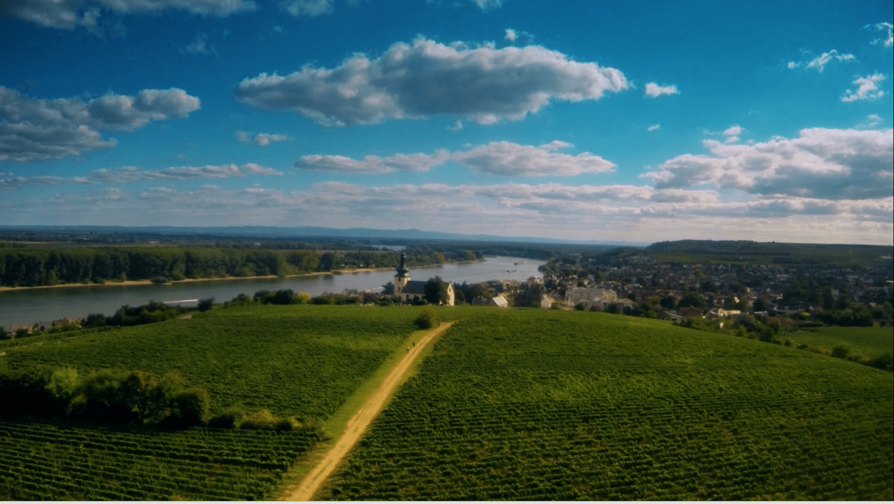 Die Weinlage „Glöck” bei Nierstein.
